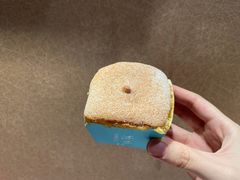 -卡吉诺动物奶油生日蛋糕(东明路店)