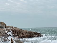 -广东惠东海龟国家级自然保护区