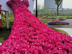 -春花秋色城市公园