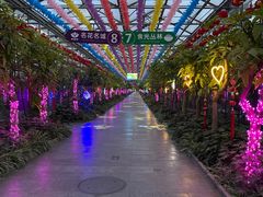 -南宫五洲植物乐园