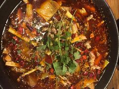 -靓蛙馆