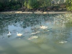 -广州神农草堂中医药博物馆