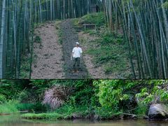 -莫干山风景区