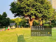 -顺德公猪肚鸡·煲仔饭(车公庙总店)