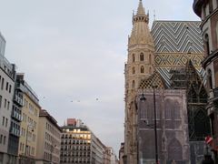 -斯蒂芬主教座堂(Stephansdom)