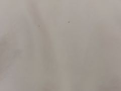 -温州大酒店