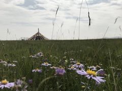 -柳之缘柳州螺蛳粉(汇品坊美食城店)