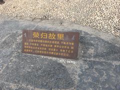 -吉英盐焗鸡(文中路店)