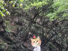 -藏龙百瀑风景区