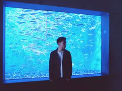 -成都浩海立方海洋公园