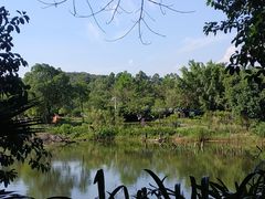-南沙蒲洲花园