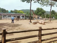 -大连森林动物园