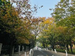 -八大关景区