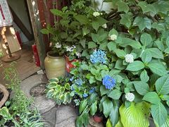 -斯多格书乡(北京大学畅春园店)
