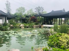 -苏州味道(阳澄湖服务区店)