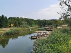 -上海长兴岛郊野公园