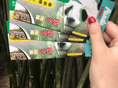 观光车票-成都大熊猫繁育研究基地