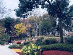 -上海市保健医疗中心