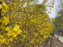 -元大都城垣遗址公园