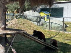 -水上乐园·欢乐世界