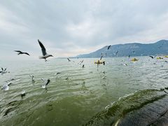 -滇池海埂公园