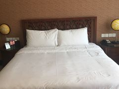 -中铁花水湾温泉酒店(大邑店)