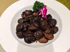 酱香菇-花园茶楼(兴城西路店)