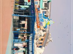 -芜湖新华联大白鲸海洋公园