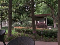 -中共上海市委党校 上海行政学院