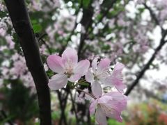 -重庆彩云湖湿地公园