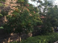 -蜀留香石锅鱼(六顺街店)
