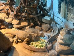 -杭州野生动物世界