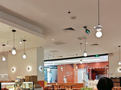 -油梨树 AVOCADO TREE(亮马桥店)