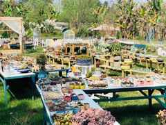 -三圣花乡旅游区