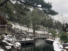 -贵州省植物园