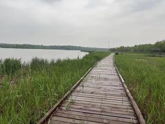 -西青郊野公园