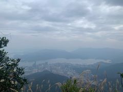 -梧桐山风景名胜区