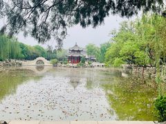 -莲池书院博物馆