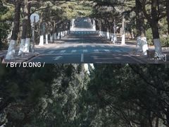 -八大关景区
