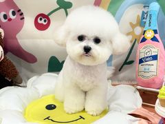 -樱桃家的宠物店(君安花园店)