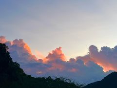 -黄埔油麻山森林公园