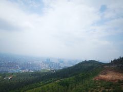 -长虫山生态公园风景林