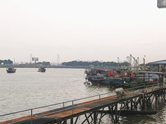 -大湾区中央湿地公园-十九涌