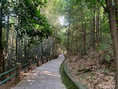 -敬亭山风景名胜区