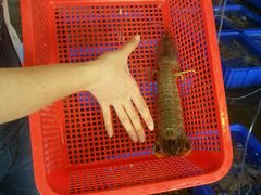 -幸福姐海鲜大排档