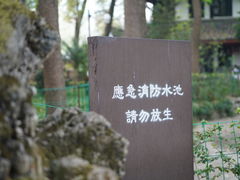 -成都市文殊院