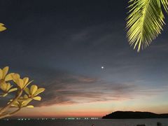 -真浪花园海鲜餐馆