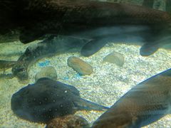 -多彩贵州城极地海洋世界