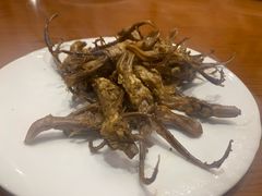 -盘飧市(春熙路店)