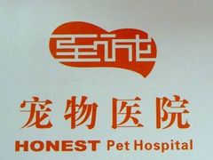 -瑞派动物医院·猫专科·至诚(江南中分院)